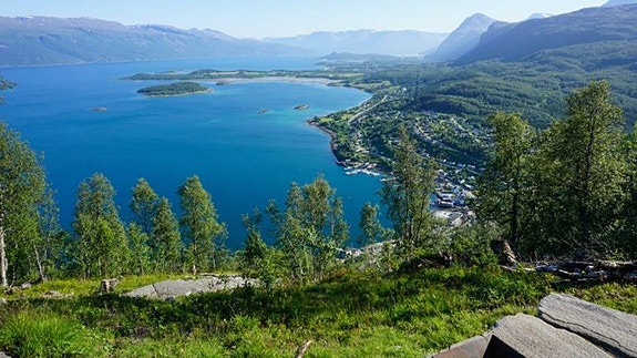 Bilde 1 av 1 i jobbannonse-galleriet