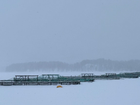 Bilde 5 av 5 i jobbannonse-galleriet