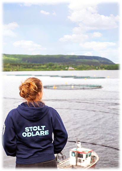 Bilde 1 av 5 i jobbannonse-galleriet