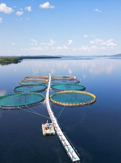 Bilde 2 av 5 i jobbannonse-galleriet