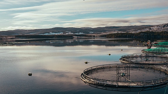 Bilde 4 av 5 i jobbannonse-galleriet