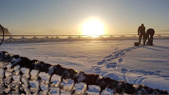 Bilde 3 av 5 i jobbannonse-galleriet