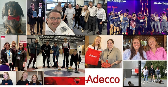 Bilde 1 av 1 i jobbannonse-galleriet