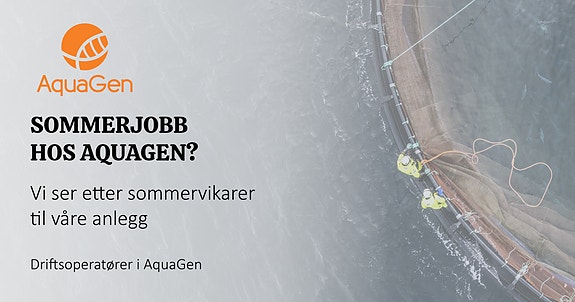 Bilde 1 av 1 i jobbannonse-galleriet