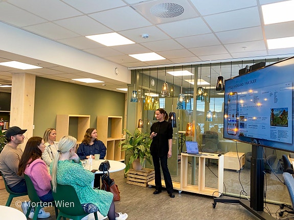 Bilde 3 av 4 i jobbannonse-galleriet