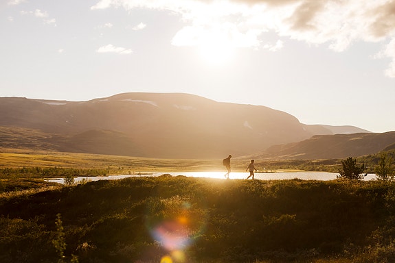 Bilde 3 av 7 i jobbannonse-galleriet