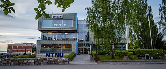 NTNU - Norges teknisk-naturvitenskapelige universitet logo