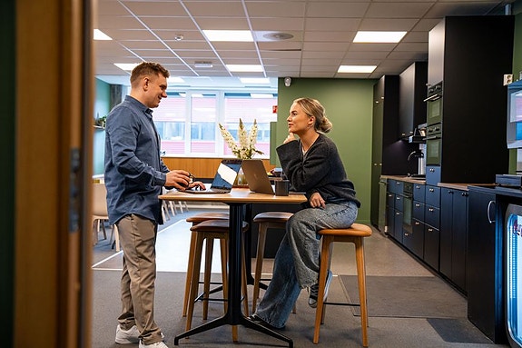 Bilde 3 av 3 i jobbannonse-galleriet