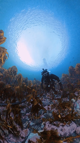 Bilde 1 av 6 i jobbannonse-galleriet