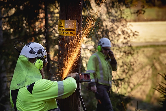 Bilde 3 av 3 i jobbannonse-galleriet
