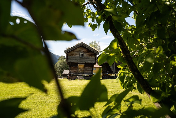 Bilde 5 av 8 i jobbannonse-galleriet