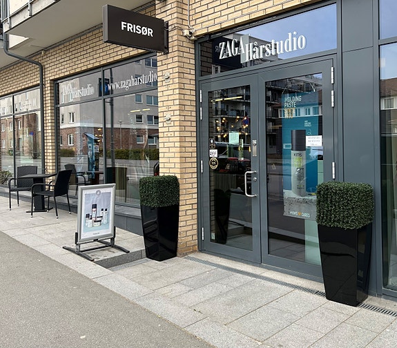 Inngang til salongen fra gateplan