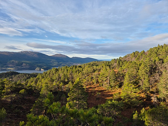 Bilde 1 av 1 i jobbannonse-galleriet