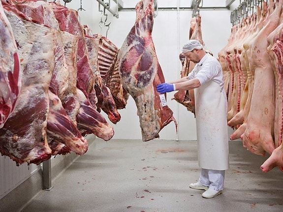 Bilde 3 av 4 i jobbannonse-galleriet