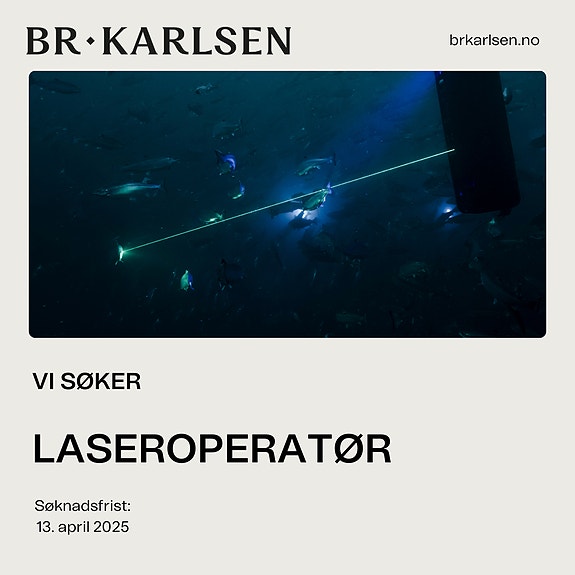 Bilde 1 av 4 i jobbannonse-galleriet