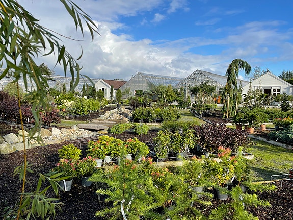 Uteområde i hagesenteret.