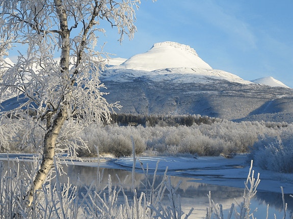 Bilde 1 av 5 i jobbannonse-galleriet