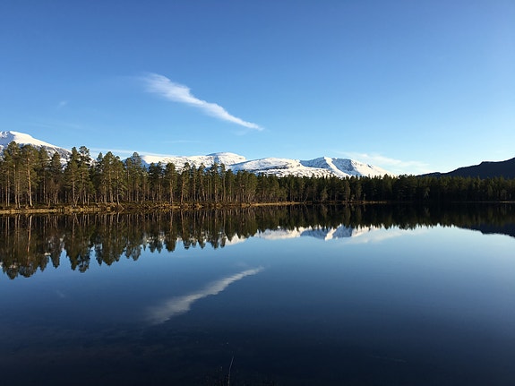 Bilde 5 av 5 i jobbannonse-galleriet