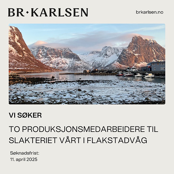 Bilde 1 av 1 i jobbannonse-galleriet