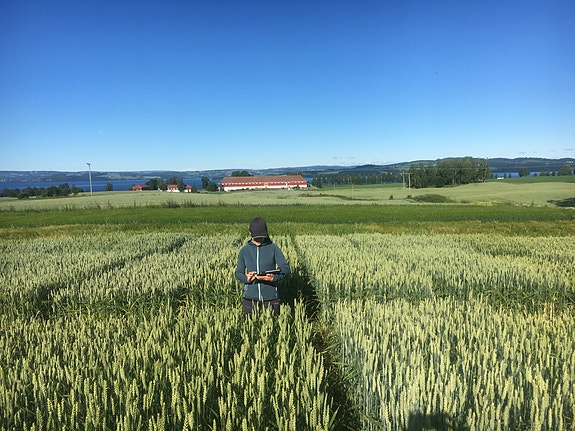 Bilde 3 av 5 i jobbannonse-galleriet