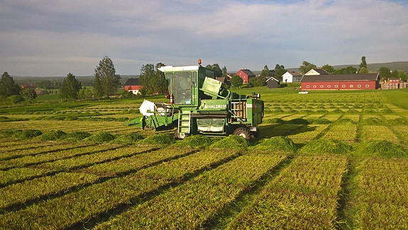 Bilde 2 av 5 i jobbannonse-galleriet