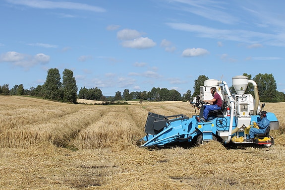 Bilde 5 av 5 i jobbannonse-galleriet