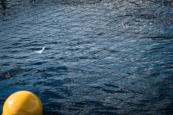 Bilde 3 av 4 i jobbannonse-galleriet