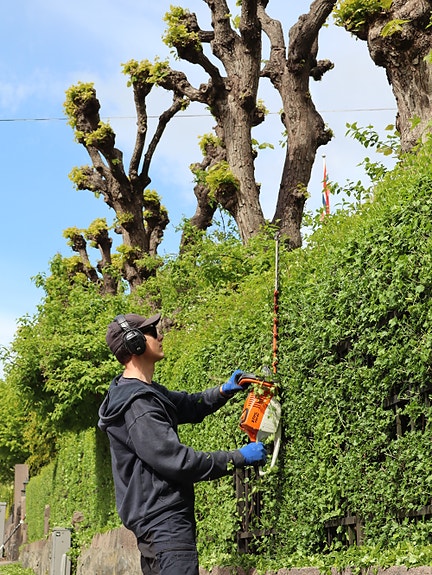Bilde 2 av 2 i jobbannonse-galleriet