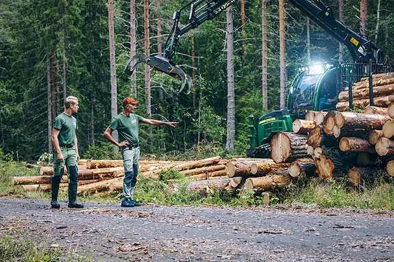 Bilde 6 av 10 i jobbannonse-galleriet