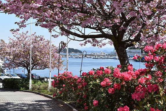 Bilde 4 av 5 i jobbannonse-galleriet