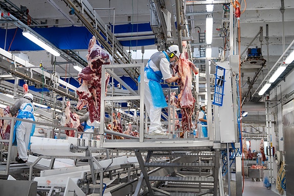 Bilde 1 av 2 i jobbannonse-galleriet