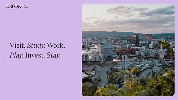 Bilde 1 av 3 i jobbannonse-galleriet