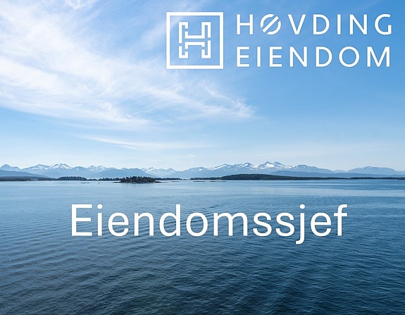 Bilde 1 av 5 i jobbannonse-galleriet