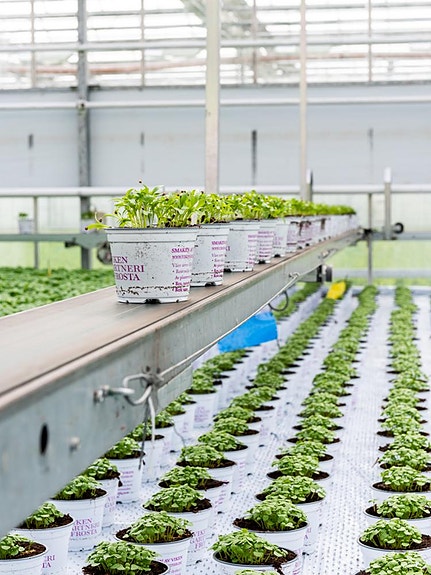 Bilde 5 av 5 i jobbannonse-galleriet