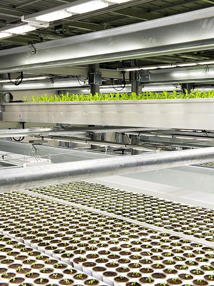 Bilde 3 av 5 i jobbannonse-galleriet