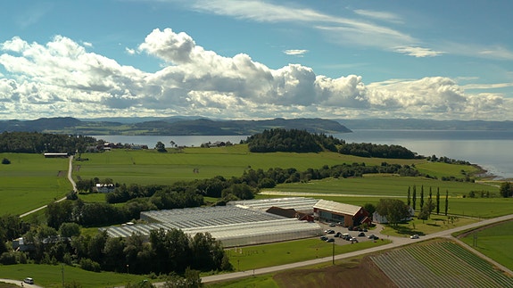 Bilde 1 av 5 i jobbannonse-galleriet