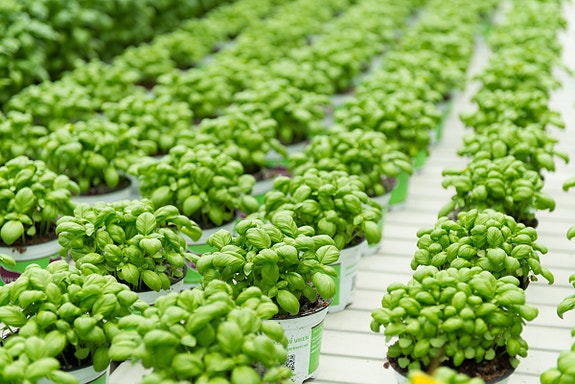 Bilde 4 av 5 i jobbannonse-galleriet