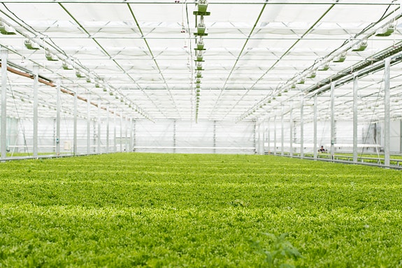 Bilde 2 av 5 i jobbannonse-galleriet