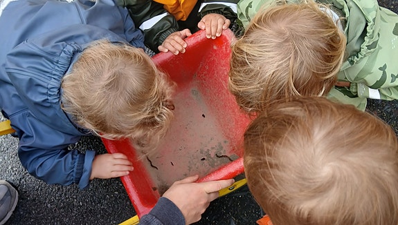 Bilde 3 av 12 i jobbannonse-galleriet