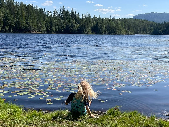 Bilde 1 av 1 i jobbannonse-galleriet