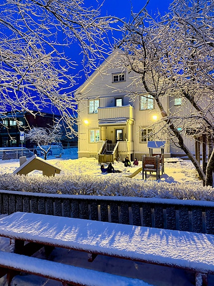 Bilde 1 av 1 i jobbannonse-galleriet