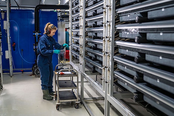 Bilde 5 av 5 i jobbannonse-galleriet