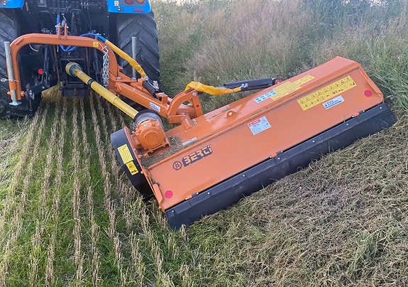 Berti beitepusser på arm