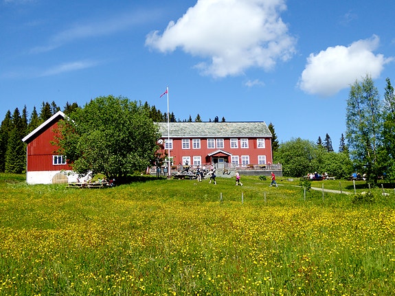 Bilde 2 av 3 i jobbannonse-galleriet