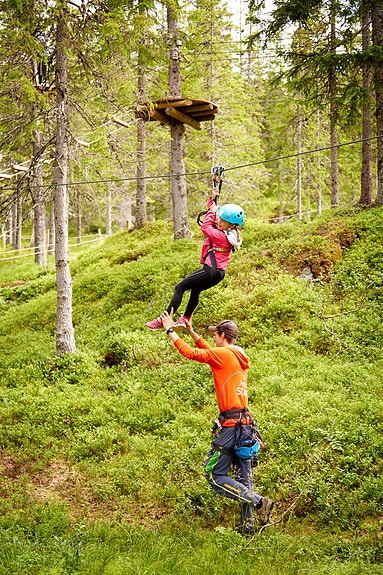 Bilde 3 av 9 i jobbannonse-galleriet