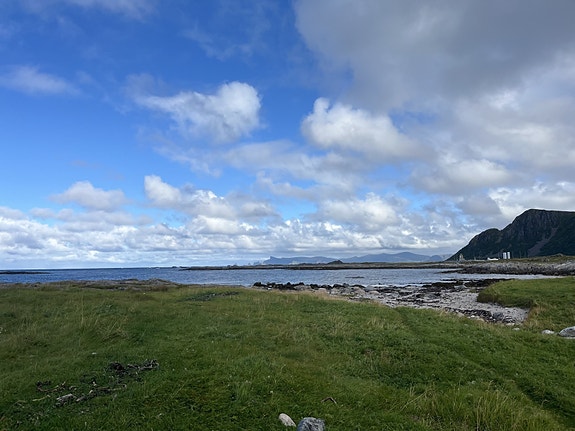 Bilde 4 av 6 i jobbannonse-galleriet