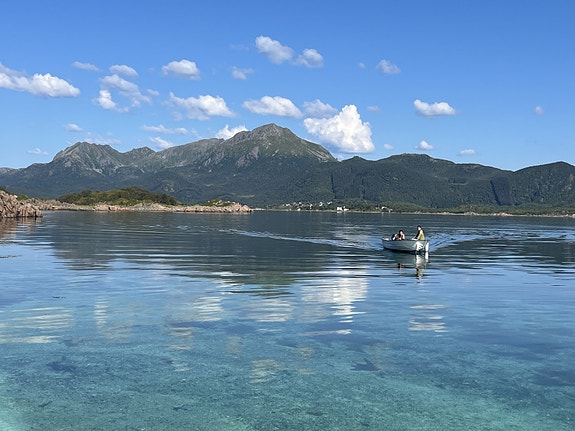 Bilde 1 av 6 i jobbannonse-galleriet