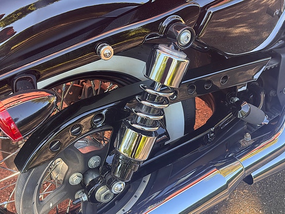 Harley-Davidson XL 1200X Forty-Eight 3 of 20