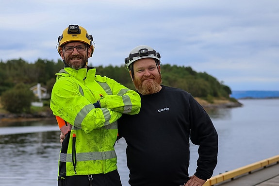 Bilde 2 av 4 i jobbannonse-galleriet