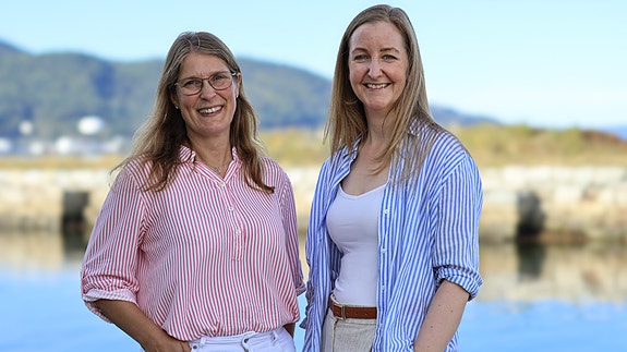 Bilde 3 av 4 i jobbannonse-galleriet